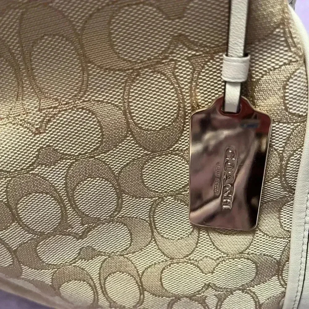 Coach bag(rare)
